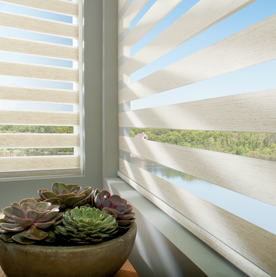 Hunter Douglas Designer Banded Shades