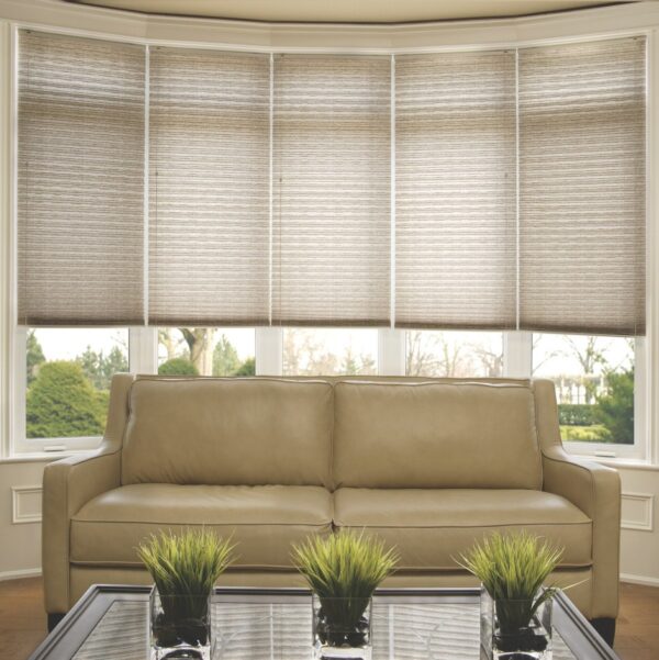 Bow Window with Pleated Shades