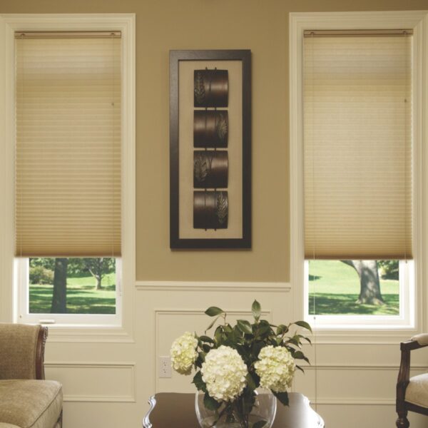 Cordlock Pleated Shades